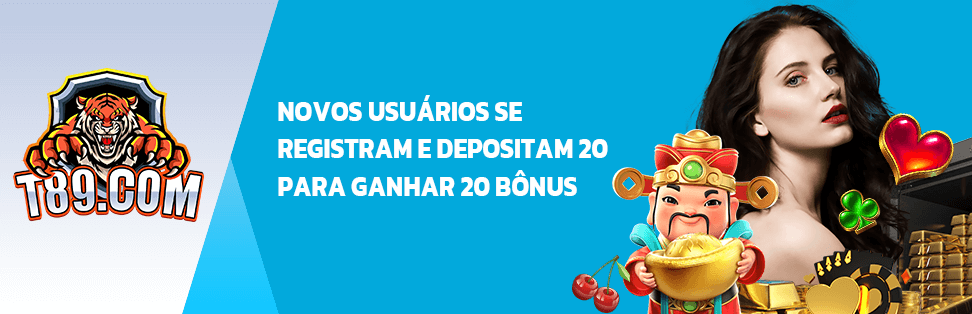 bet net apostas online